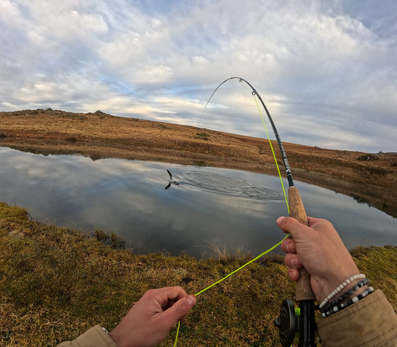 Tight Lines on Glassy Water